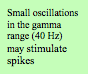 Text Box: Small oscillations in the gamma range (40 Hz) may stimulate spikes 